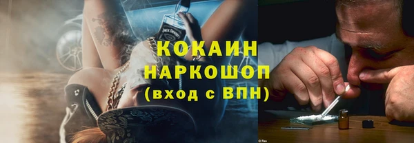 шишки Алексин