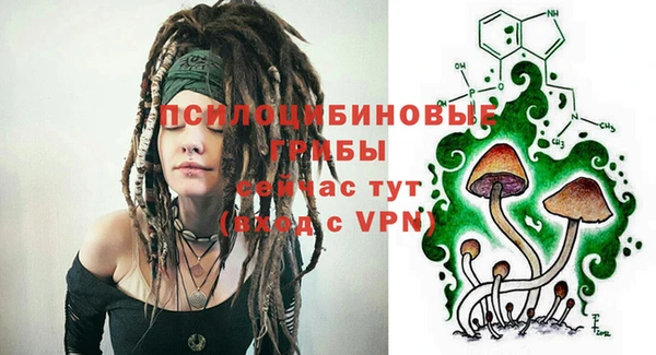 трава Алзамай