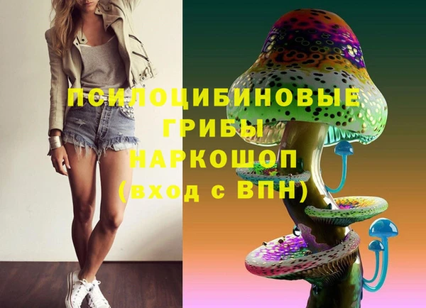 шишки Алексин