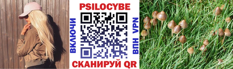 ОМГ ОМГ как зайти  Струнино  Псилоцибиновые грибы Psilocybe 